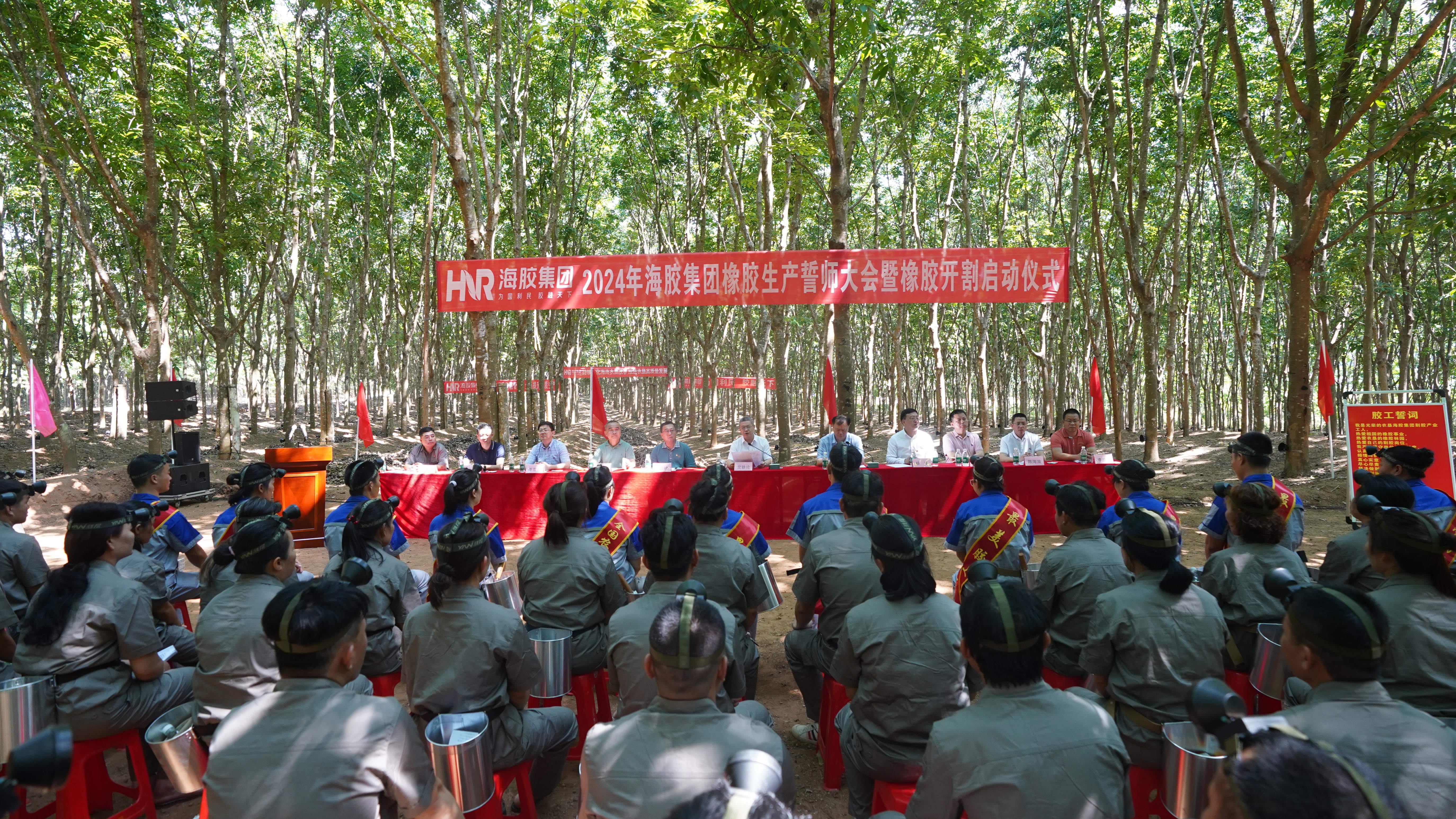 1713430498938000202.jpg 1713430498938000202.jpg