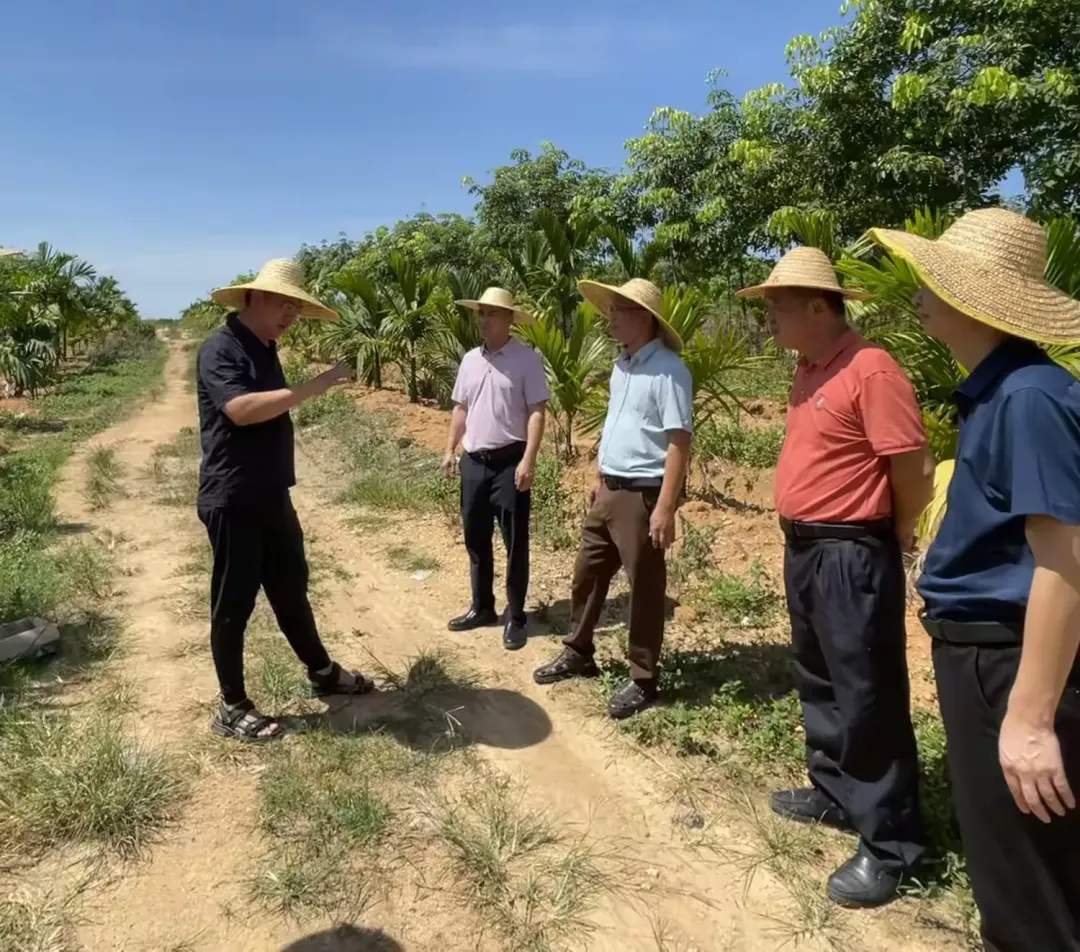 1724115093504045206.jpg 1724115093504045206.jpg