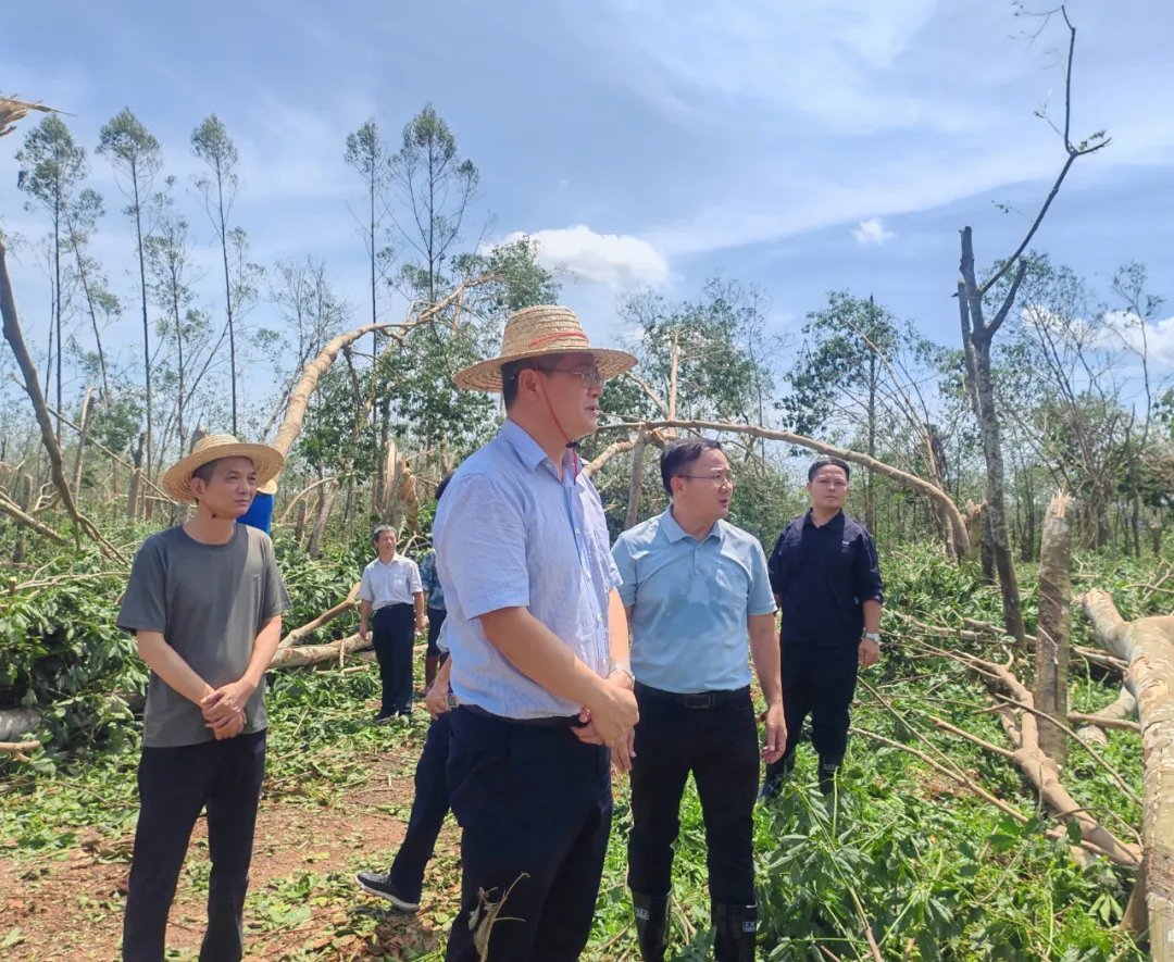 1726197054061049549.jpg 1726197054061049549.jpg