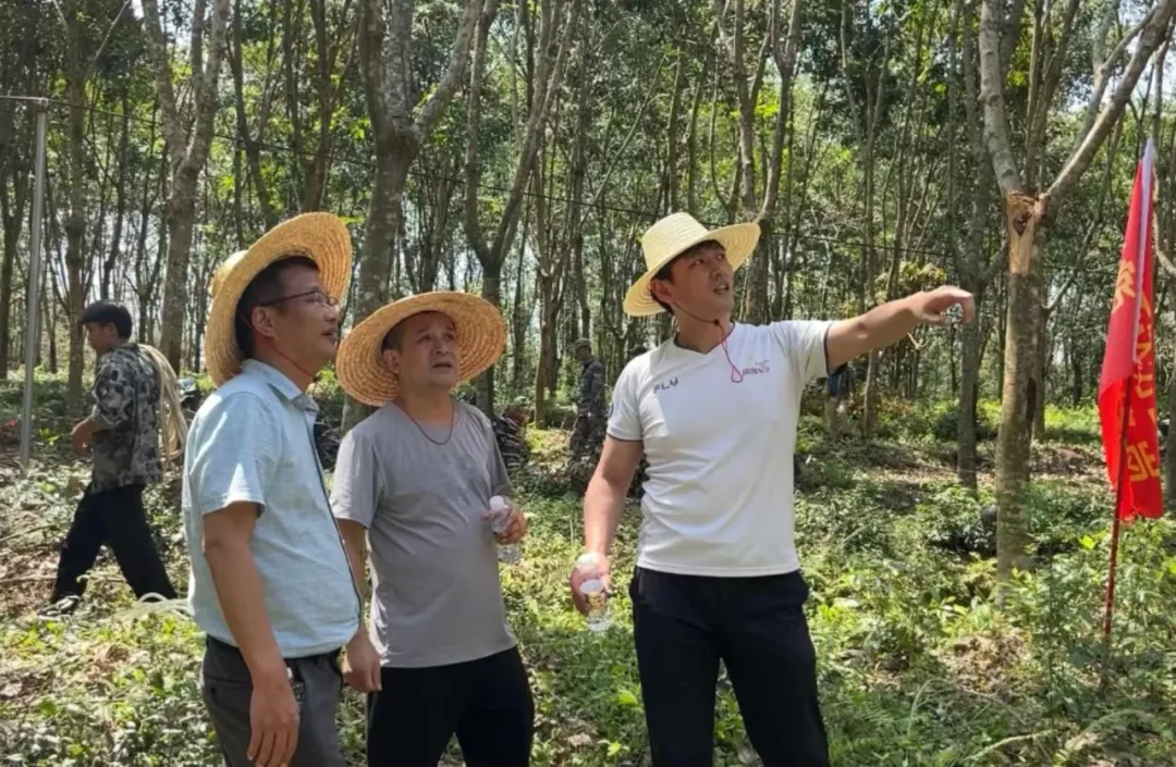 1726648929975046464.jpg 1726648929975046464.jpg