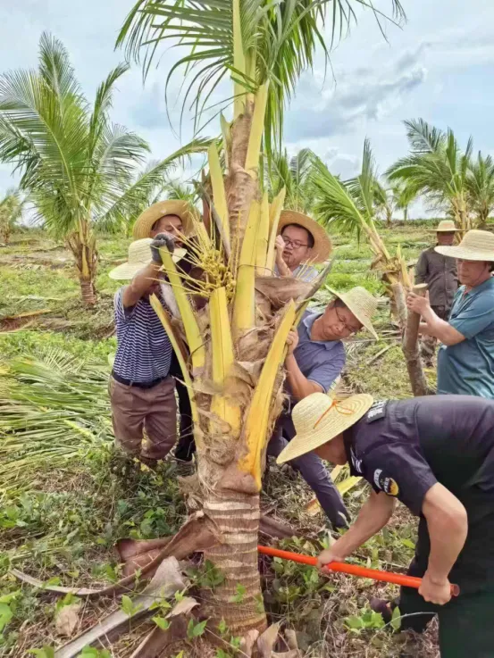 1736730414531088769.jpg 1736730414531088769.jpg