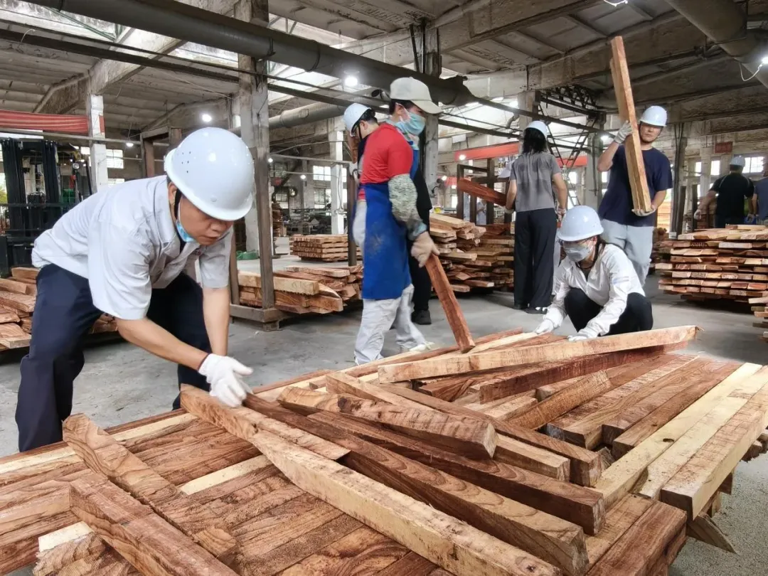 1765245797414046459.jpg 1765245797414046459.jpg